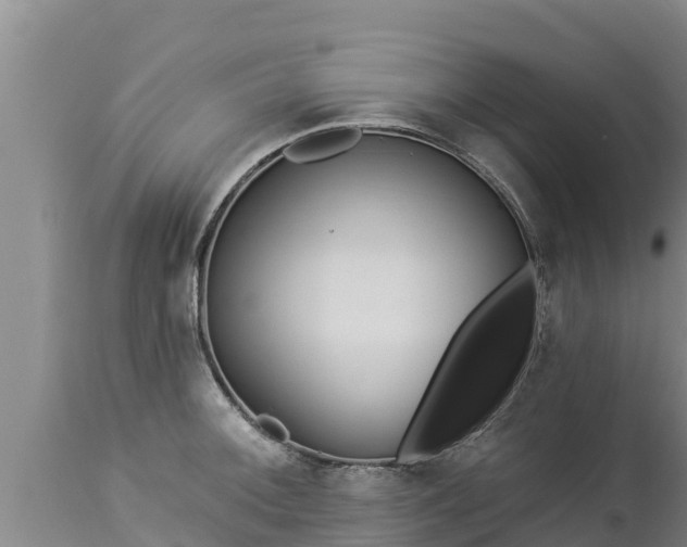 X0000112821092200908281525