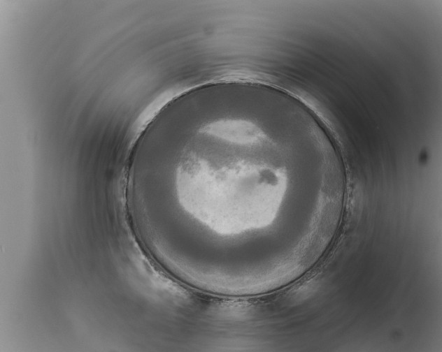 X0000112821094200908281525