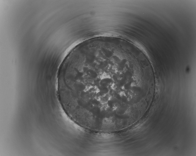 X0000112821095200908281525