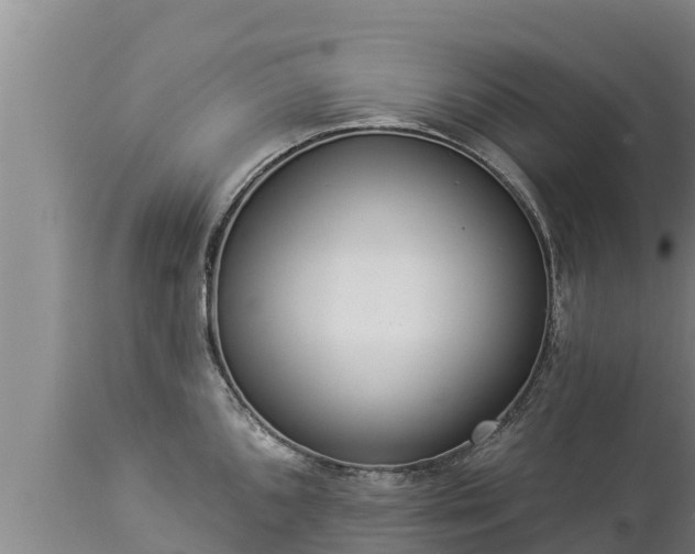 X0000112821096200908281525