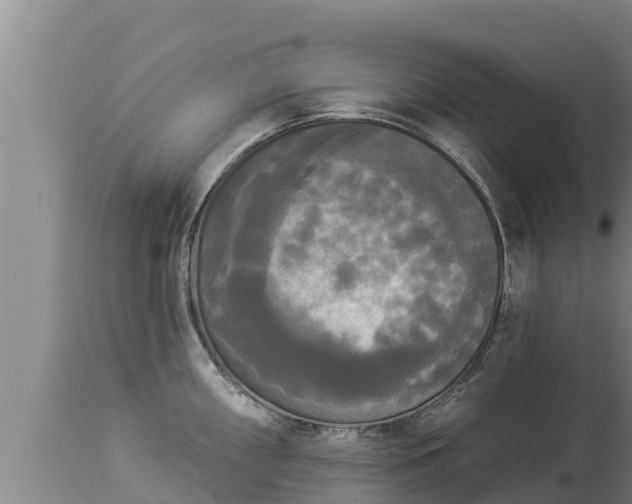 X0000112821098200908281525