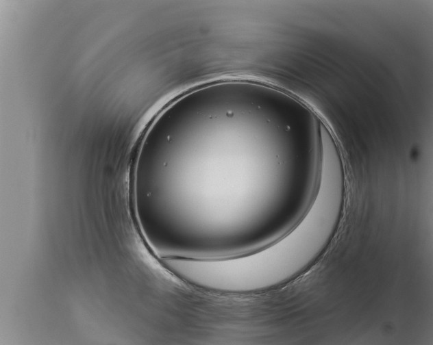 X0000112821100200908281525