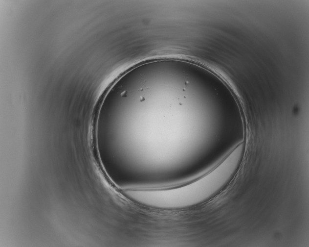 X0000112821101200908281525