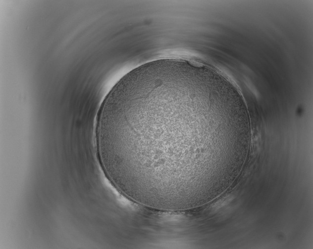 X0000112821103200908281525