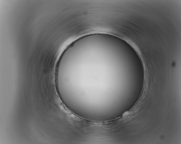 X0000112821104200908281525