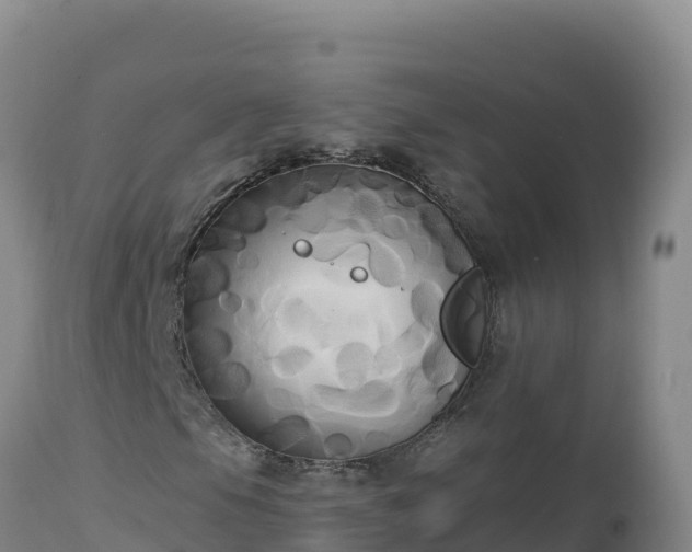 X0000112821105200908281524