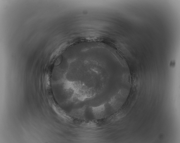 X0000112821106200908281524
