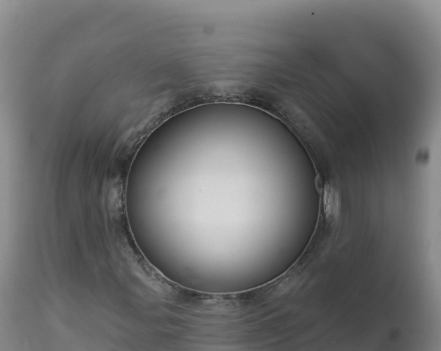X0000112821107200908281524