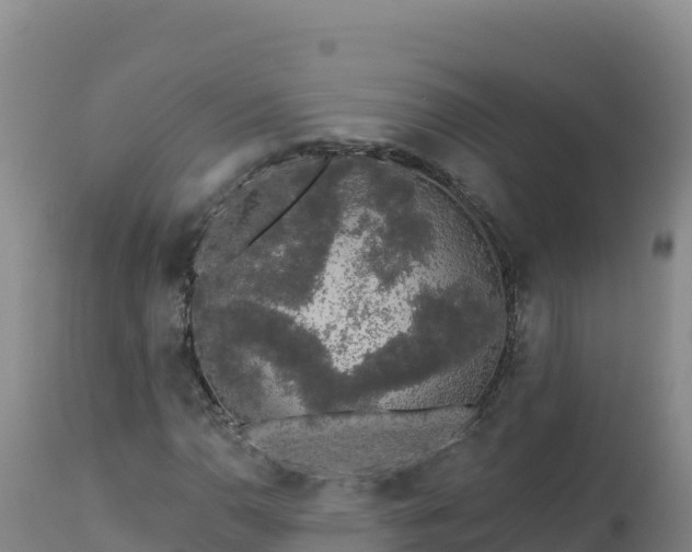 X0000112821110200908281524