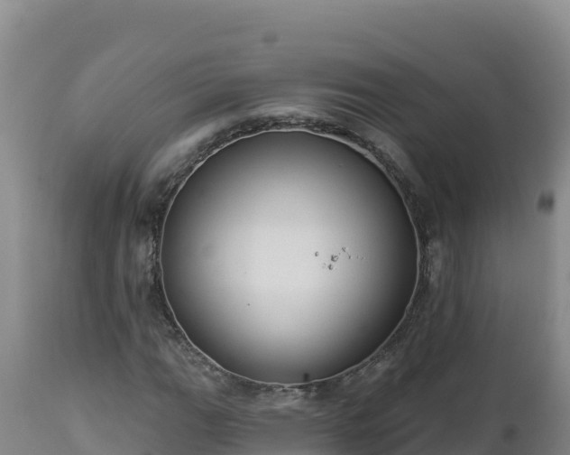 X0000112821111200908281524