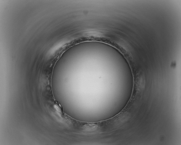 X0000112821112200908281524