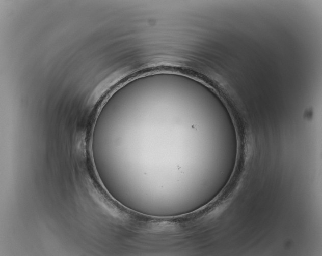 X0000112821113200908281524