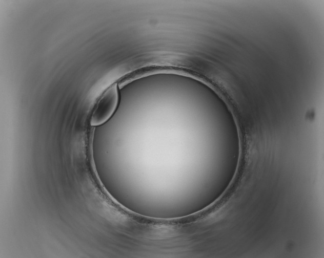 X0000112821114200908281524