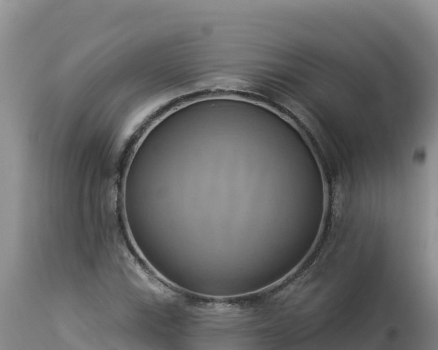 X0000112821115200908281524