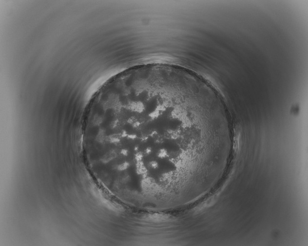X0000112821117200908281524