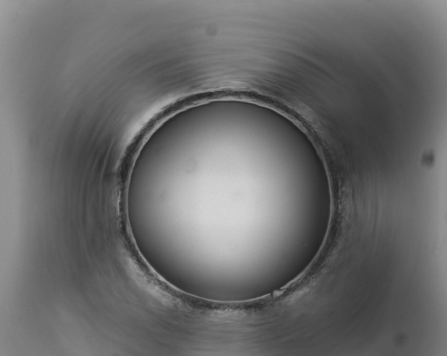 X0000112821118200908281524