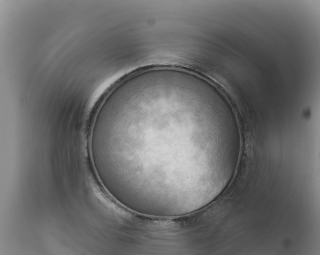 X0000112821120200908281524