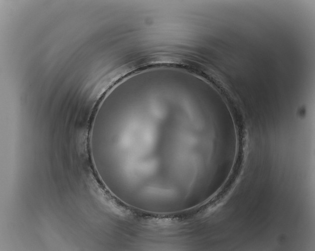 X0000112821121200908281524