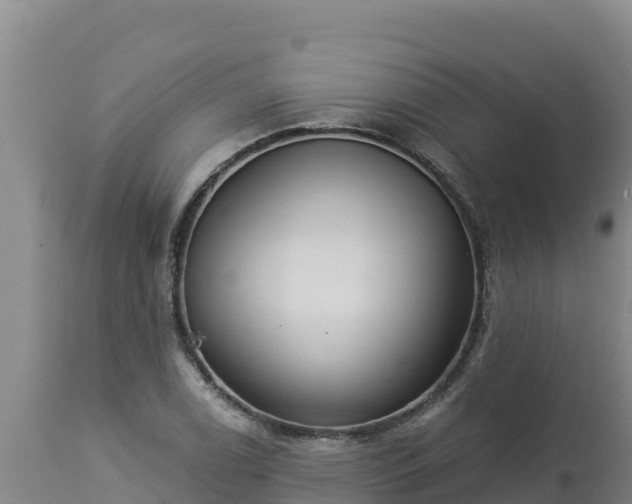 X0000112821122200908281524