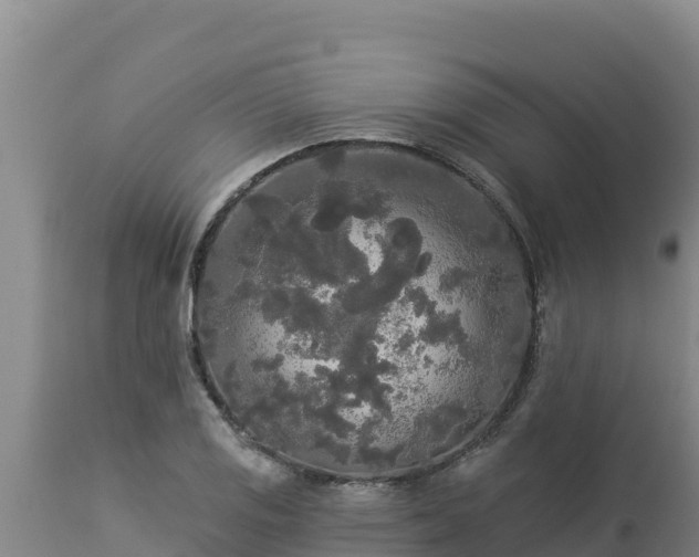 X0000112821125200908281525