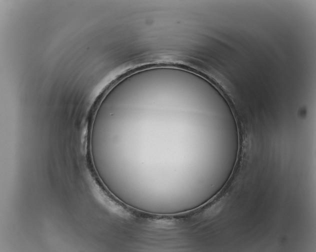 X0000112821126200908281525