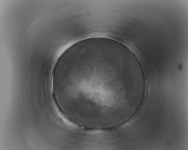 X0000112821127200908281525