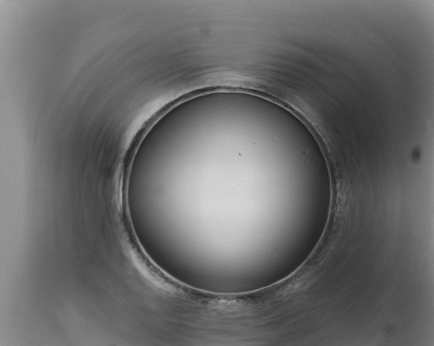 X0000112821128200908281525