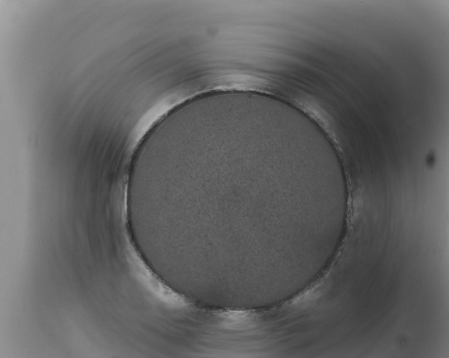 X0000112821130200908281525