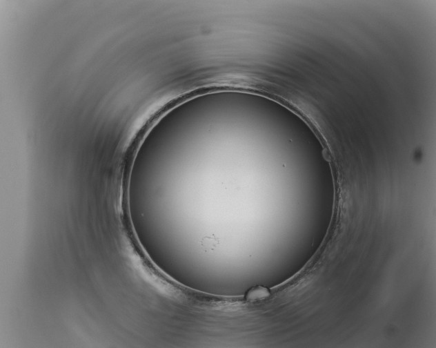 X0000112821131200908281525