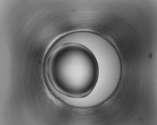 X0000112821132200908281525