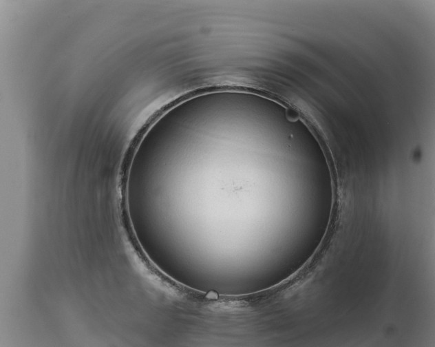 X0000112821133200908281525