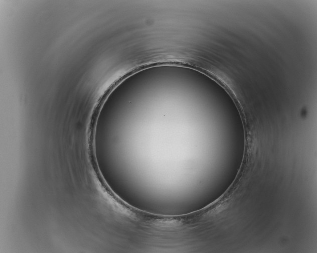 X0000112821135200908281525
