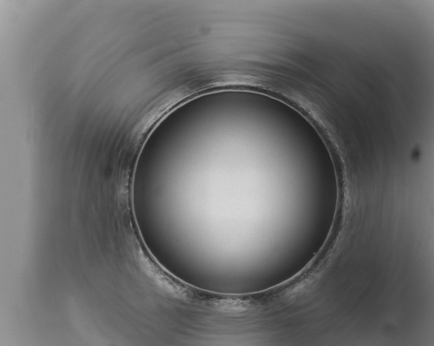 X0000112821137200908281525