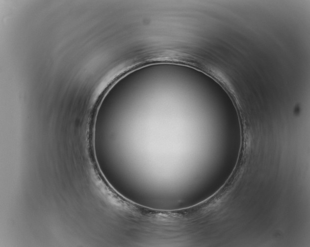 X0000112821138200908281525