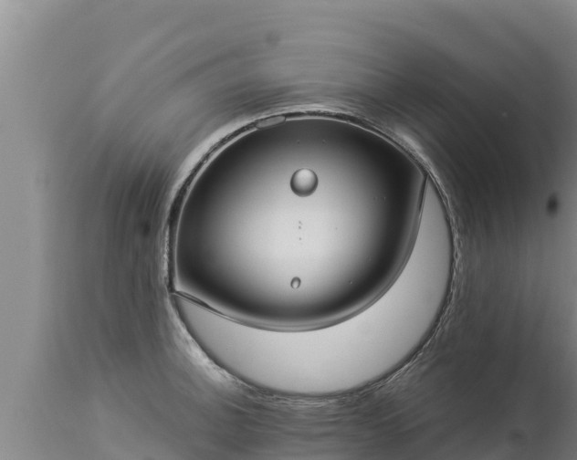 X0000112821140200908281525