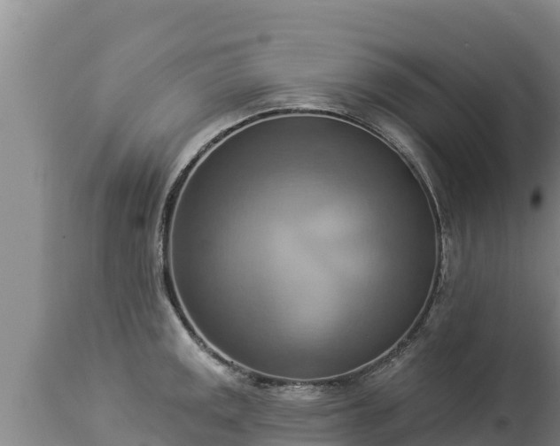 X0000112821141200908281525