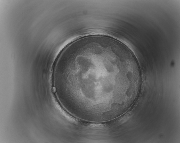 X0000112821142200908281525