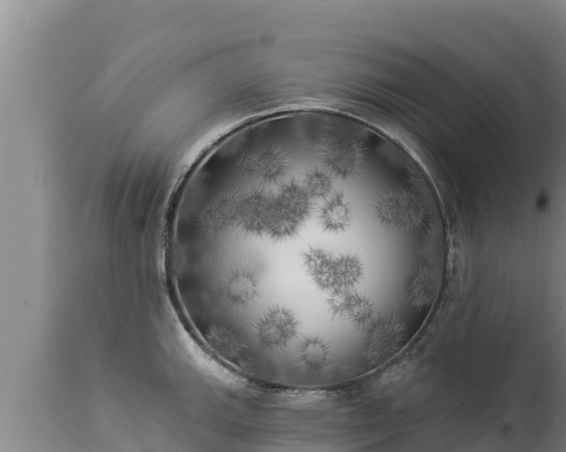 X0000112821143200908281525