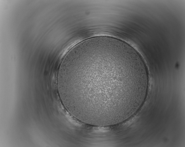X0000112821145200908281525