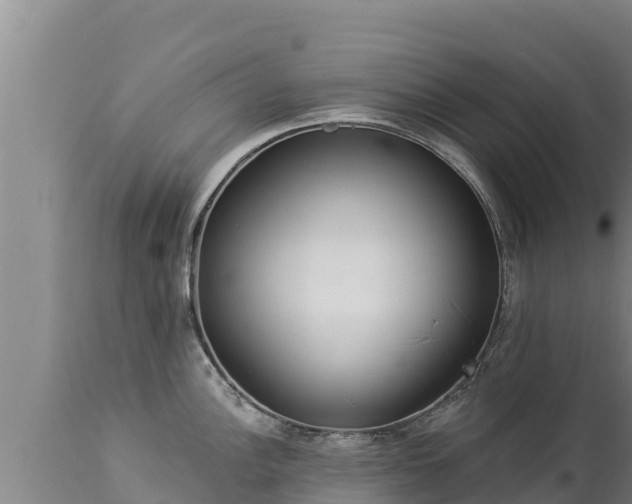 X0000112821148200908281525