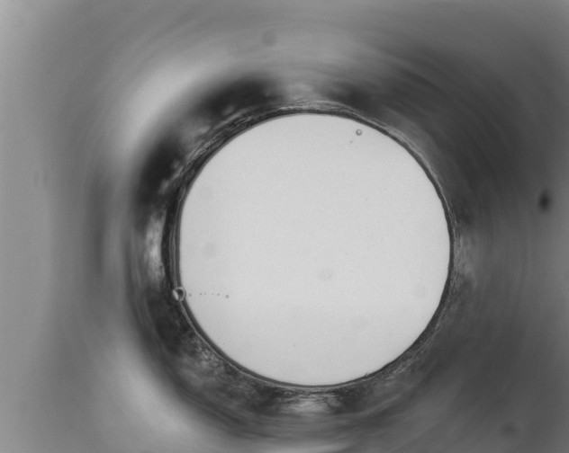X0000112821150200908281525