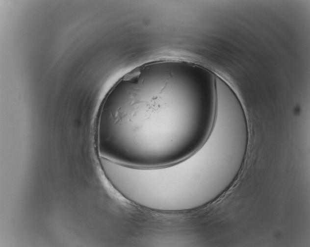 X0000112821152200908281525