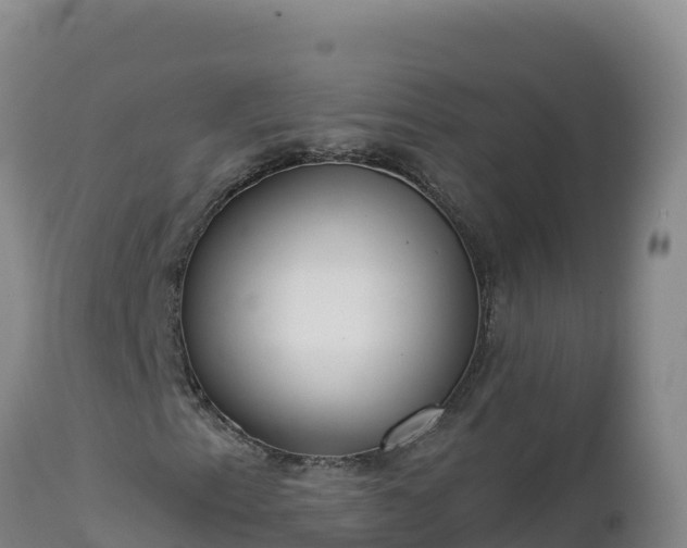 X0000112821153200908281524