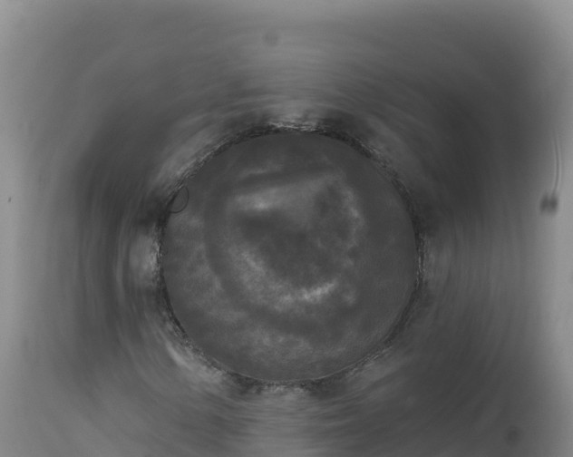 X0000112821154200908281524