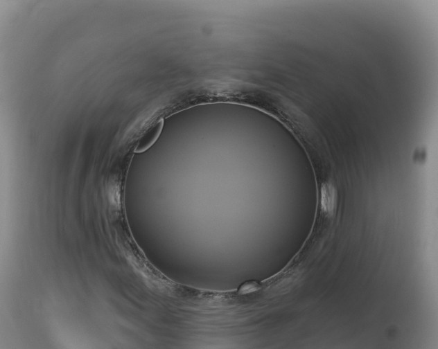 X0000112821155200908281524