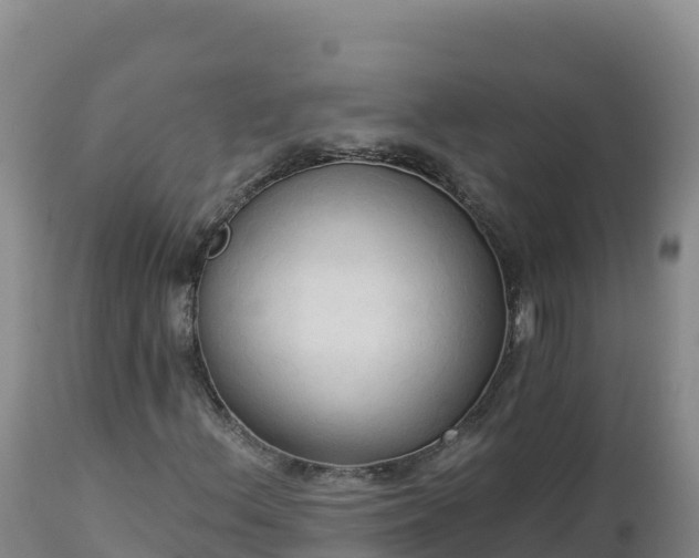 X0000112821156200908281524