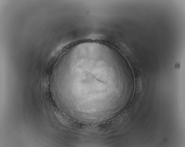 X0000112821158200908281524