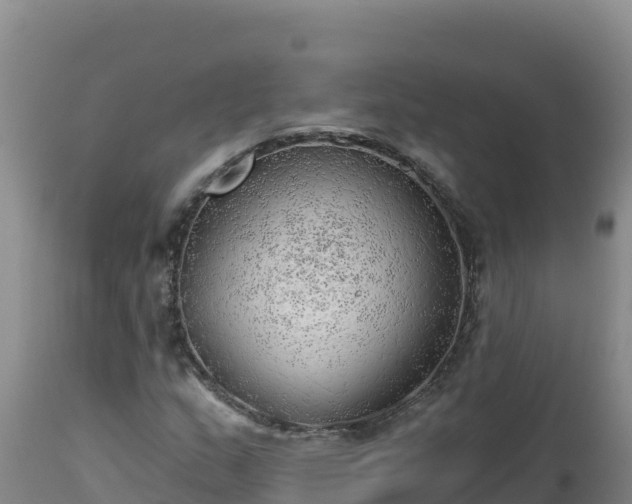 X0000112821159200908281524