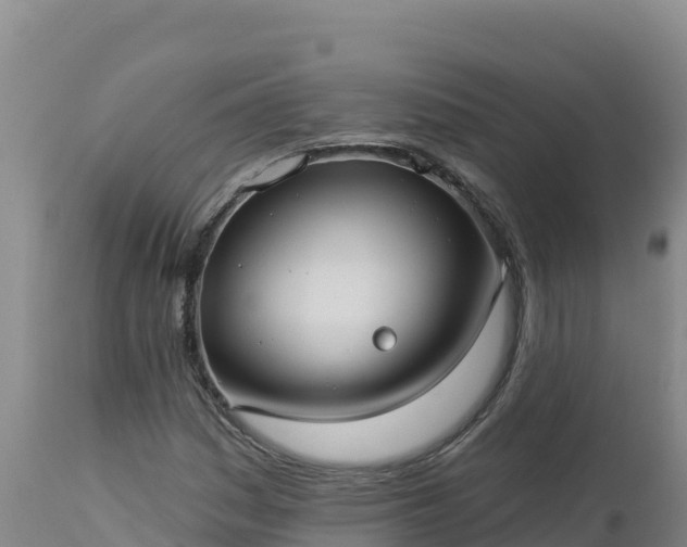 X0000112821161200908281524