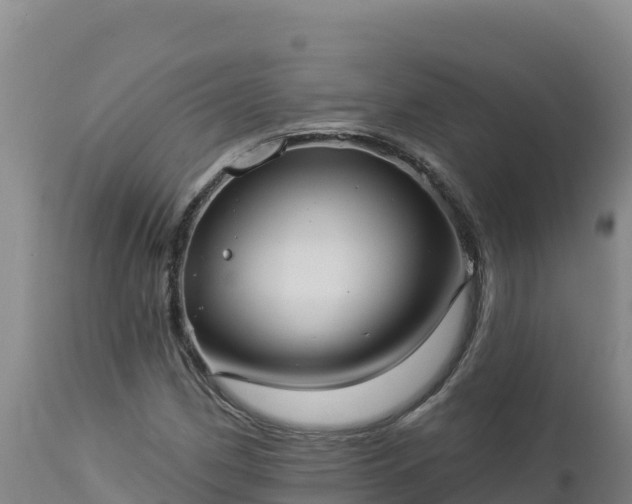 X0000112821162200908281524